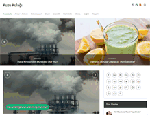 Tablet Screenshot of kuzukulagi.com